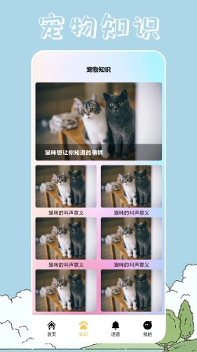 桌面宠物壁纸截图2