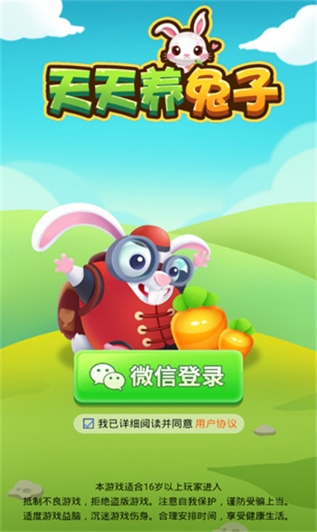天天养兔子