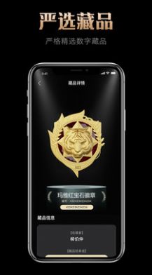 玛雅藏品截图0