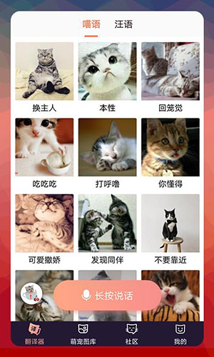 猫语翻译器截图0