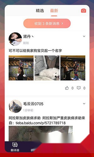 猫语翻译器