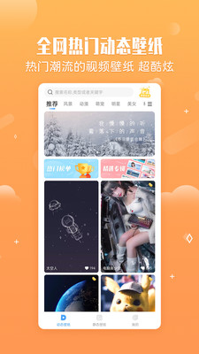 小鸟壁纸软件截图0