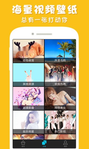 彩蛋视频壁纸截图1