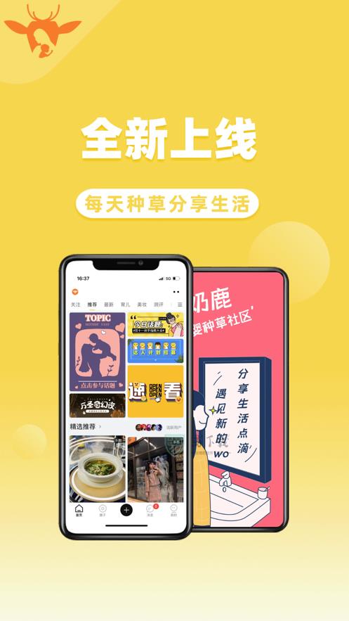 奶鹿截图1