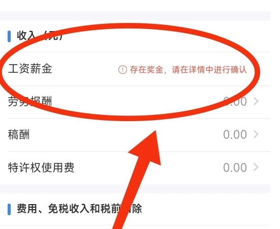 个人所得税正版