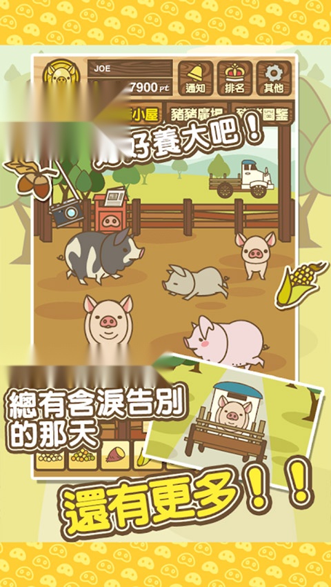 养猪场mix截图0