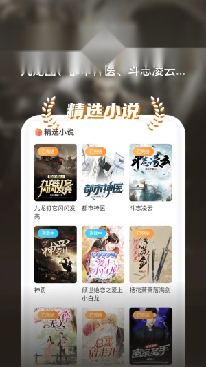 全网小说大全截图1