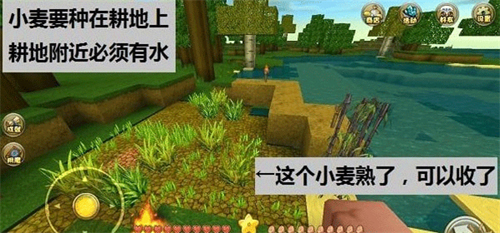 迷你世界百度版