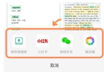扇贝单词英语版