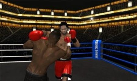 拳击之夜4 v1.76