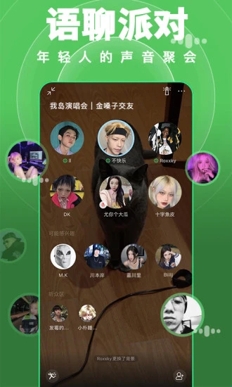 岛2025