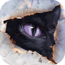 黑猫奇闻社最新版