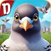 pigeon鸽子游戏安卓版