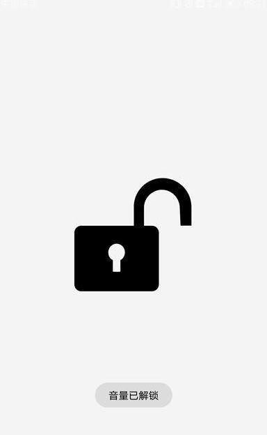 固定音量锁截图2