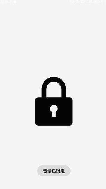 固定音量锁截图0