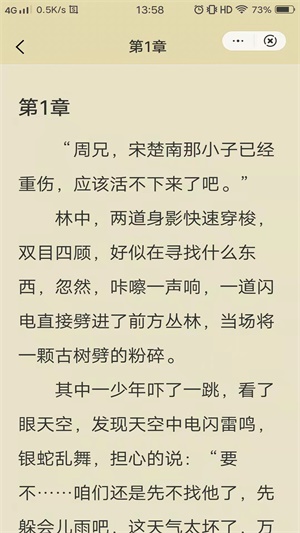 紫霞小说截图0