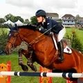 赛马模拟器