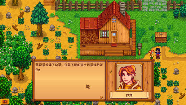 stardew valley截图0