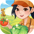 村头菜市场红包版