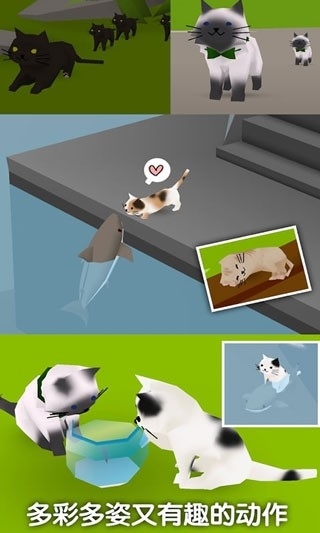 猫猫与鲨鱼正版截图2