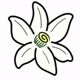 橙花模拟器
