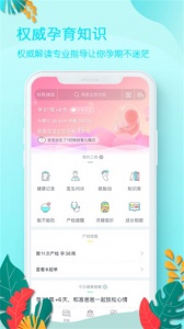好孕妈最新版截图1
