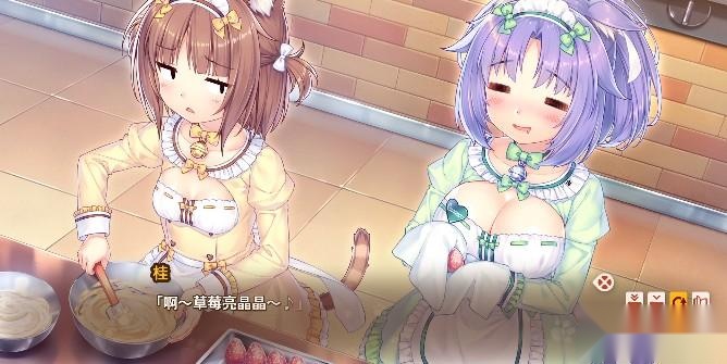 猫娘乐园4