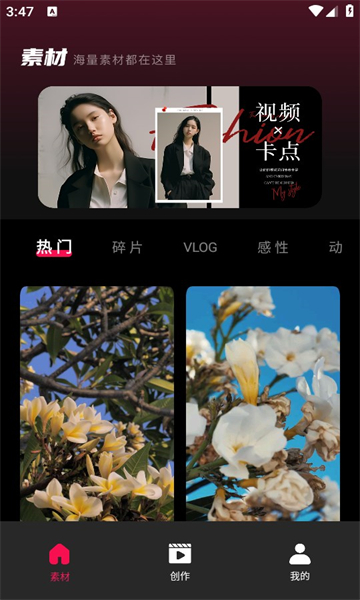 tibni截图0