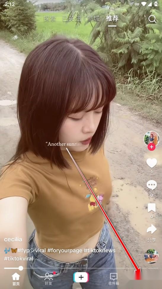 tiktok国际服