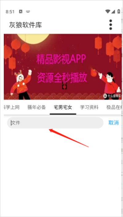 灰狼软件库手机版