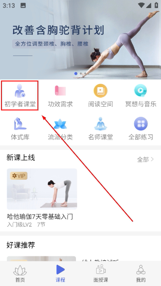 禅逸瑜伽