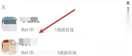 蝙蝠正版