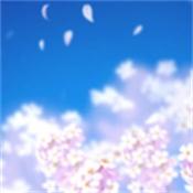樱之诗安卓直装版