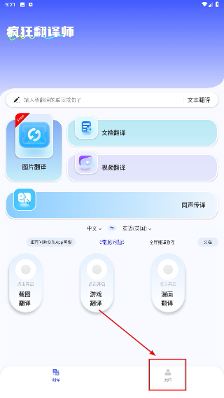 疯狂翻译师