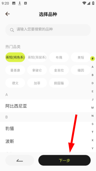 花生宠物