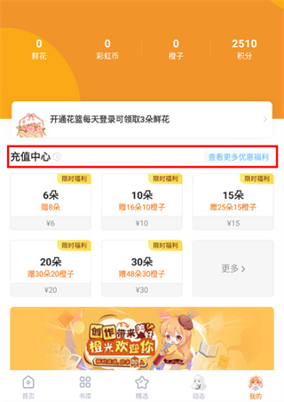 橙光