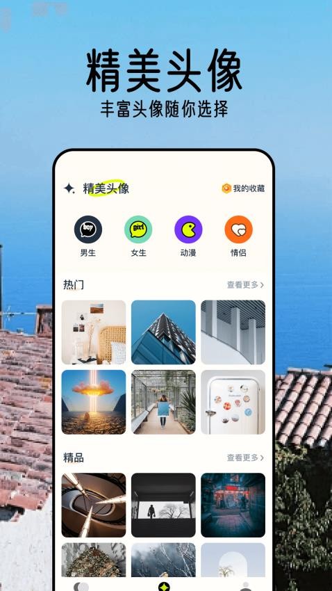 桌面壁纸精灵最新版截图2