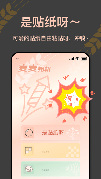 麦麦相机截图0