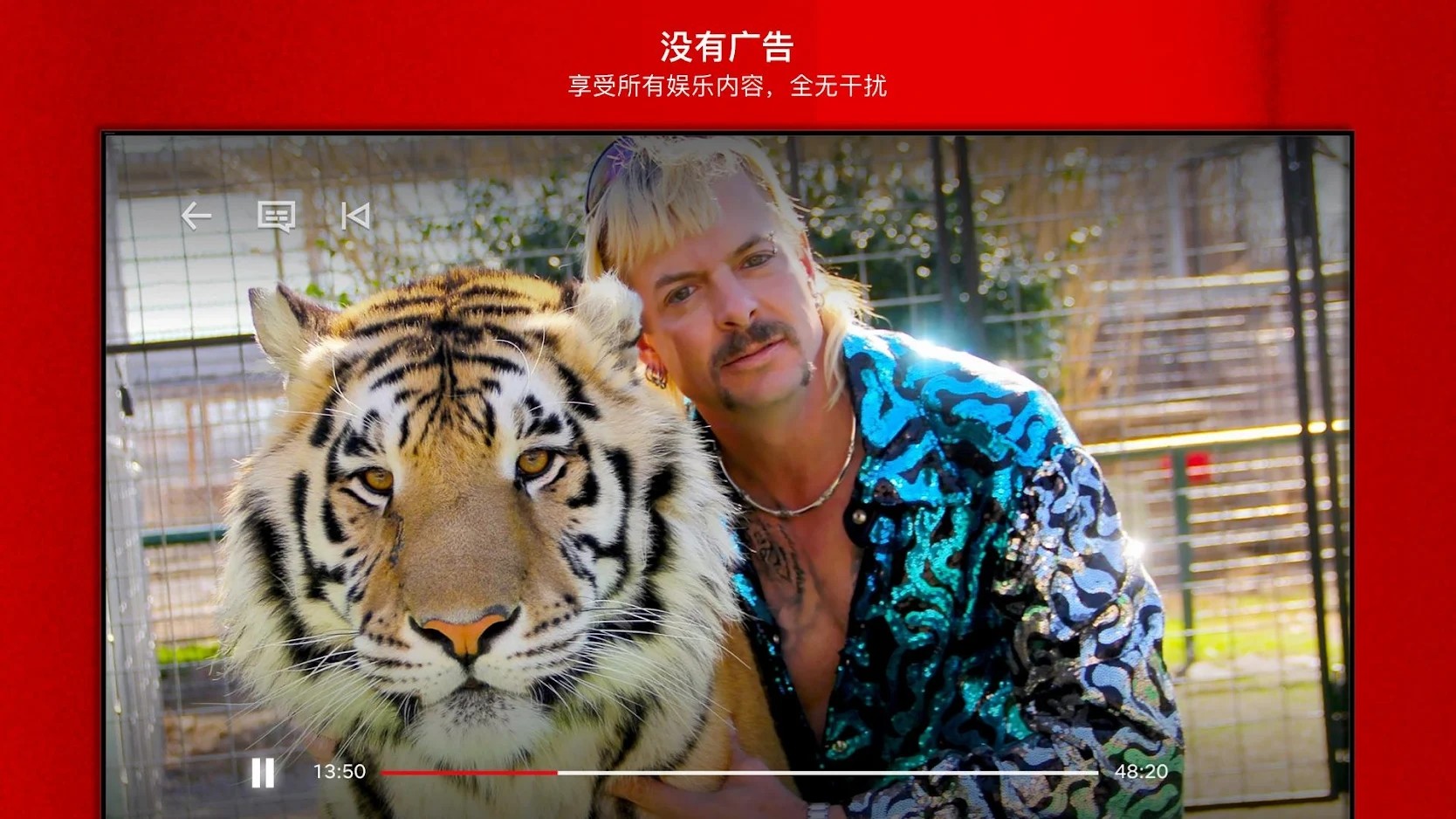 奈菲影视截图2
