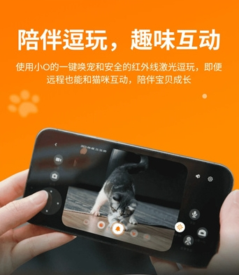 小o猫管家HHOLOVE