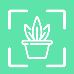 识别植物