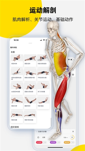 3dbody解剖免费版