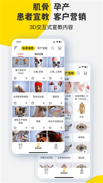 3dbody解剖免费版
