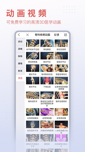 3dbody解剖免费版截图4