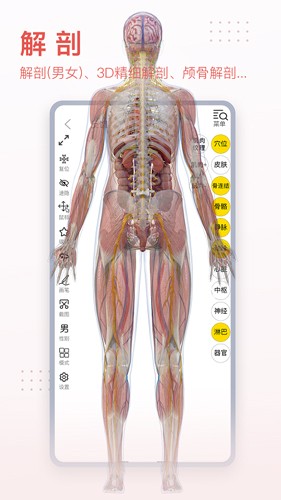 3dbody解剖免费版截图2
