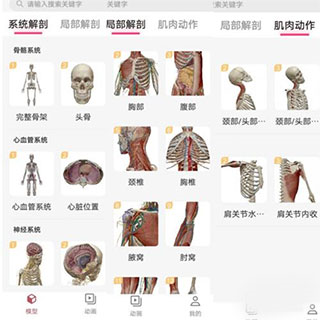 3dbody解剖免费版