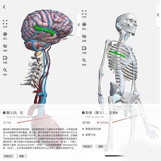 3dbody解剖免费版