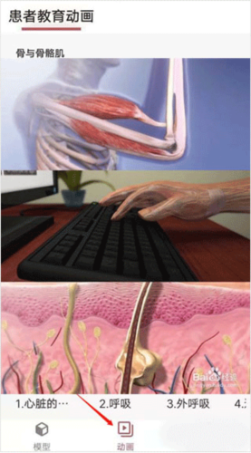 3dbody解剖免费版