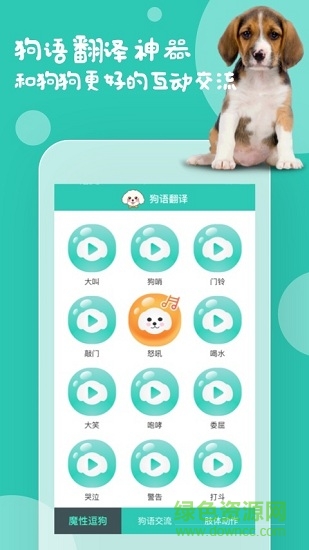 狗语翻译截图1