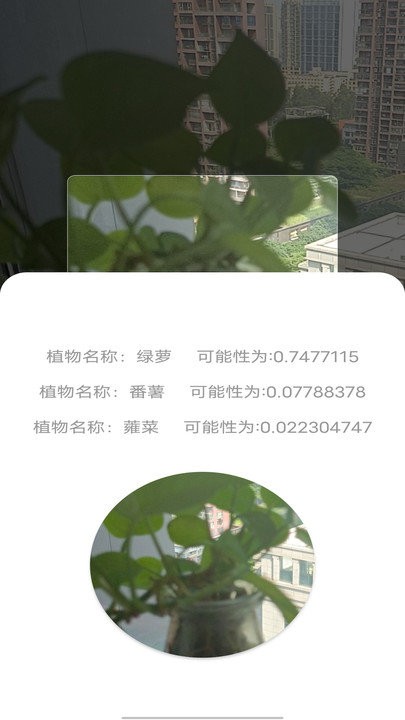 识别植物截图1